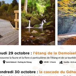 Animation nature : la cascade du Géhard