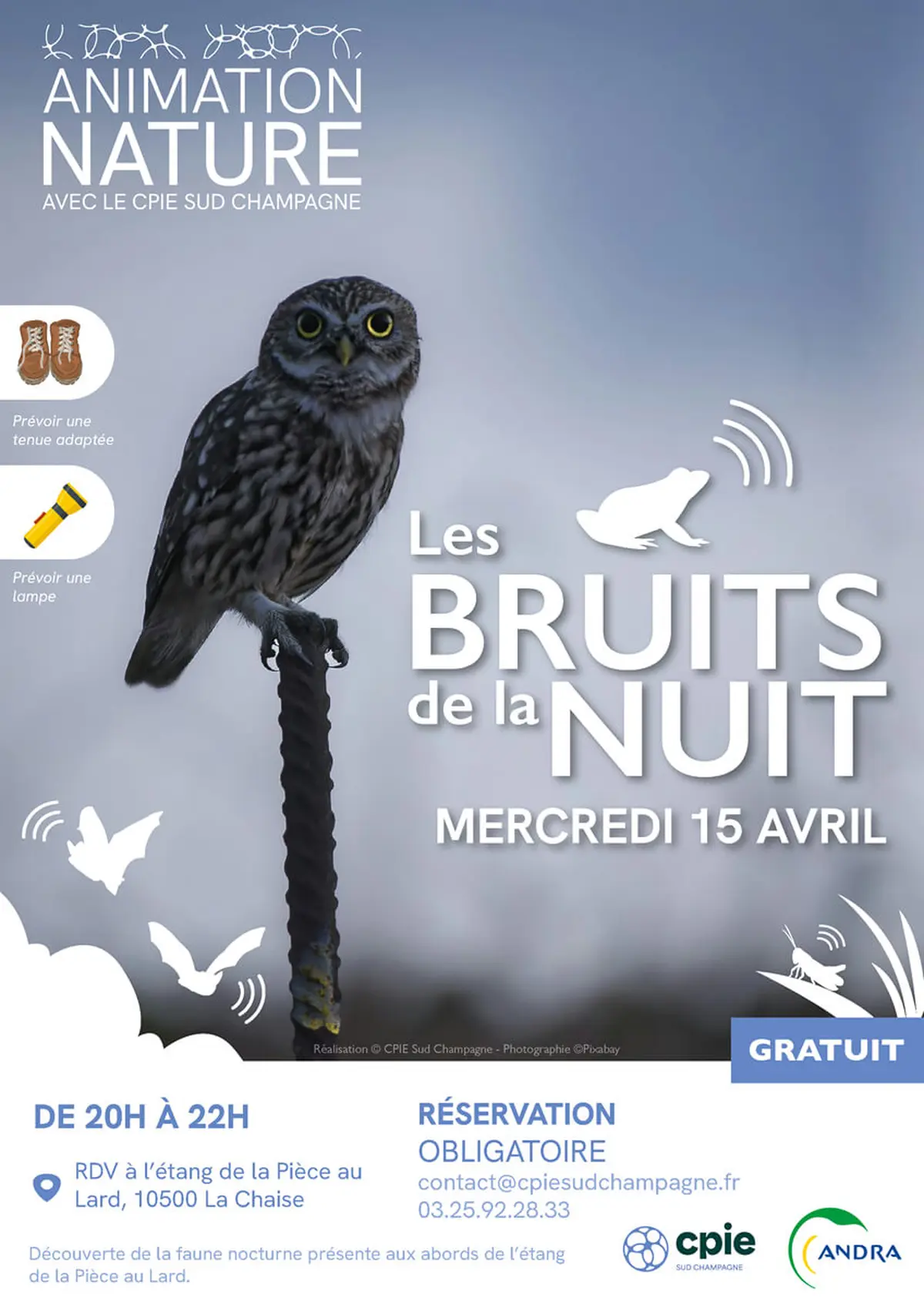 Animation Nature Les bruits de la nuit