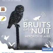 Animation Nature Les bruits de la nuit