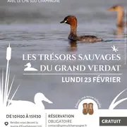 Animation nature : Les trésors sauvages du Grand Verdat