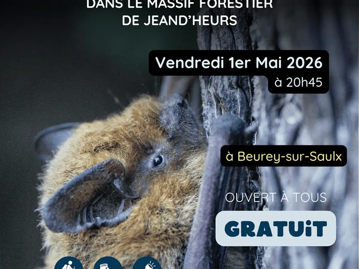 Animation nature : mystères et voix de la nuit