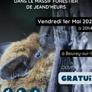 Animation nature : mystères et voix de la nuit