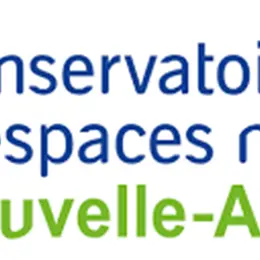 Animation nature : Partez à la recherche des libellules