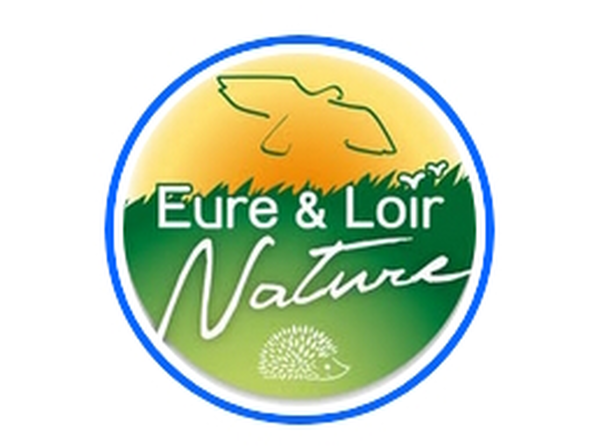 Animation nature : Plongez au coeur de l'or des abeilles