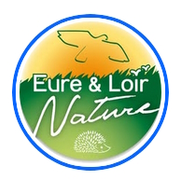 Animation nature : Plongez au coeur de l'or des abeilles