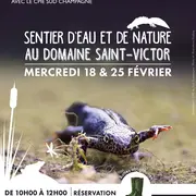 Animation nature : Sentier d'eau et de nature