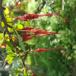 Animation nature · Visite et balade