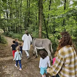 Animation nocturne théâtralisée - Contes et légendes au bois des Roches