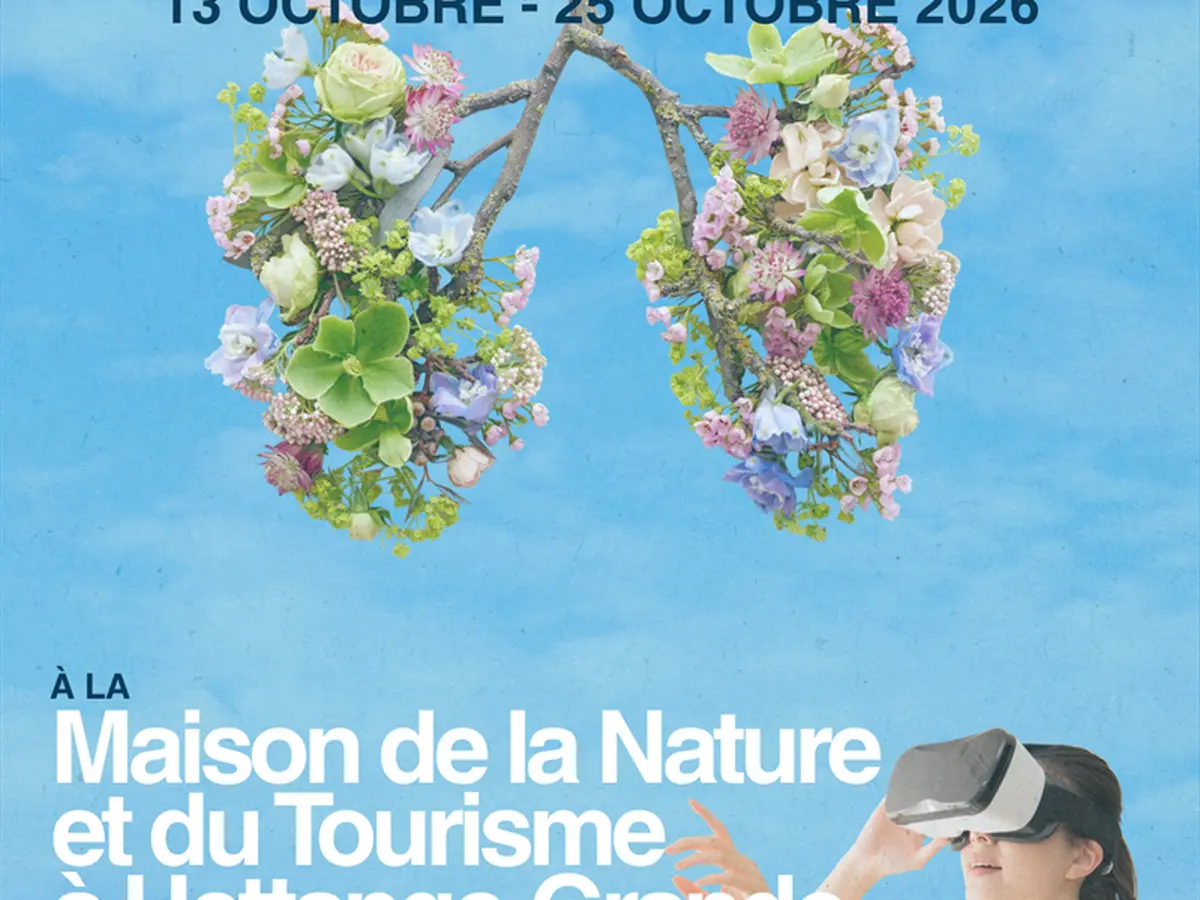 Animation Ô grand Air