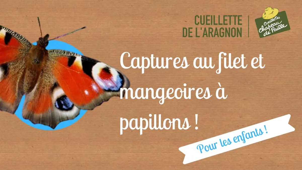 Animation sur les papillons, à la Cueillette de l'Aragnon