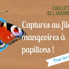Animation sur les papillons, à la Cueillette de l'Aragnon