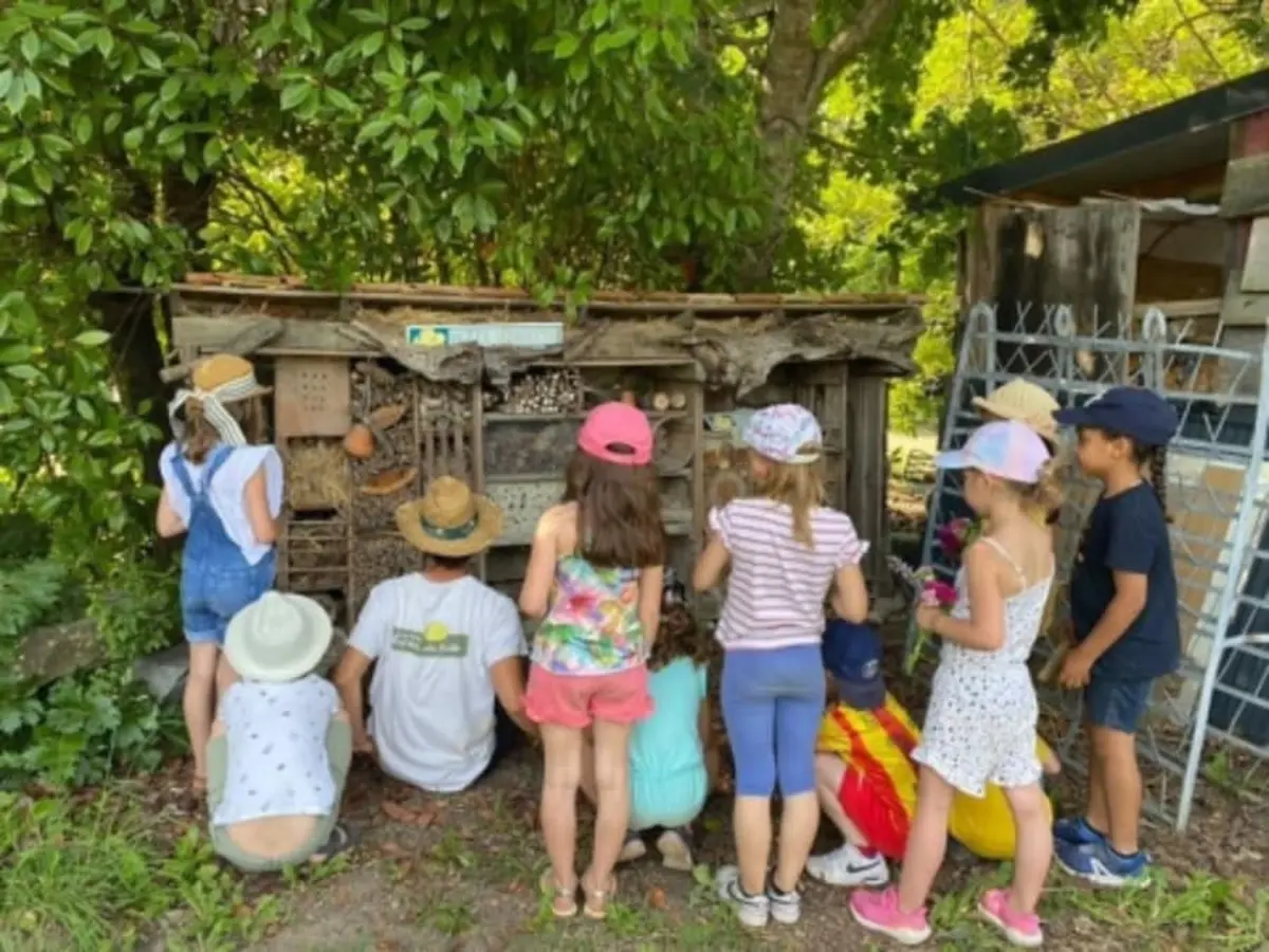 Animation sur les papillons à Montardon (64)