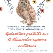 Animation sur les rapaces nocturnes à Vallant-Saint-Georges