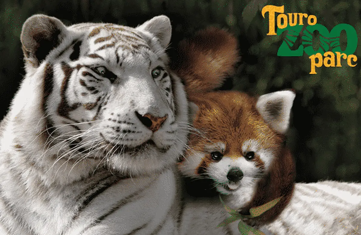 Animation Touroparc Zoo : Protégeons la biodiversité en vous amusant !