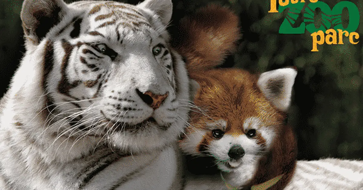 Animation Touroparc Zoo : Protégeons la biodiversité en vous amusant !