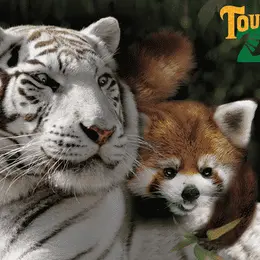 Animation Touroparc Zoo : Protégeons la biodiversité en vous amusant !