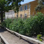 Animations à la ferme pédagogique