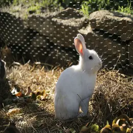 Animations à la ferme pédagogique pour les vacances de la Toussaint