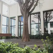 Animations à la médiathèque Salim Hatubou en  janvier et février