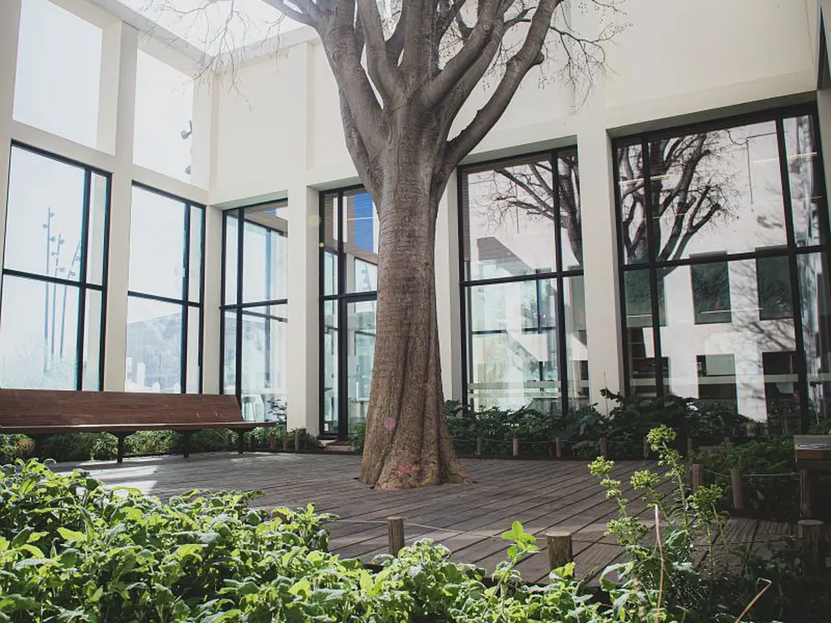 Animations à la médiathèque Salim Hatubou en  novembre et décembre