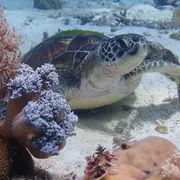 Animations : accueil de loisirs pour les vacances d'avril 2026