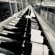 Animations De L'Espace Vin • Mois De Décembre