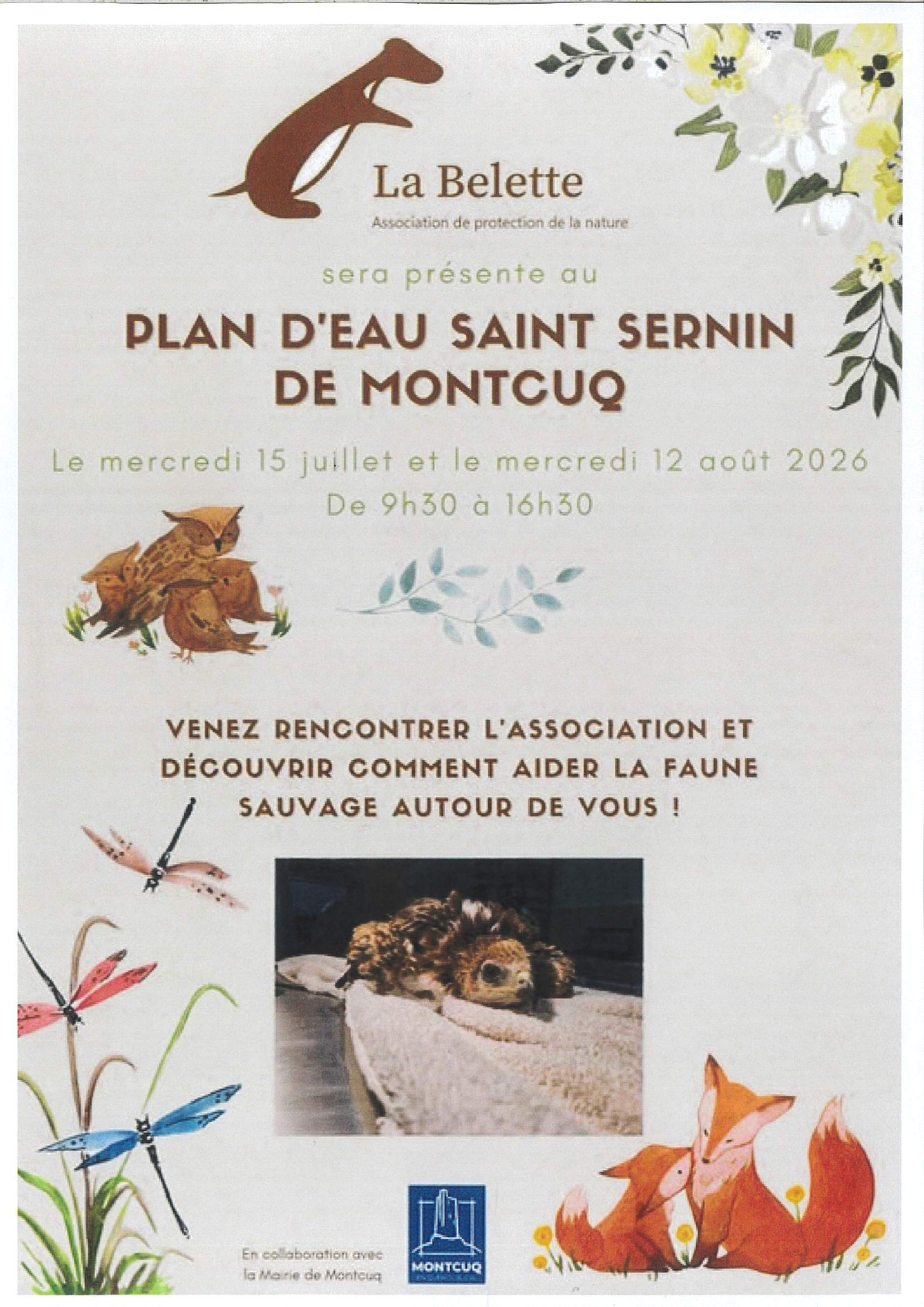 Animations de La Belette au plan d'eau Saint Sernin de Montcuq