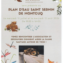 Animations de La Belette au plan d'eau Saint Sernin de Montcuq