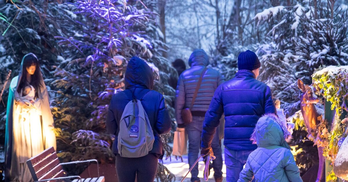 Marché et animations de Noël Altkirch 2023 : dates, horaires, programme Marché et animations de Noël Altkirch 2023 : dates, horaires, programme