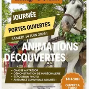 Animations Découvertes