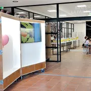 Animations Des Vacances Scolaires