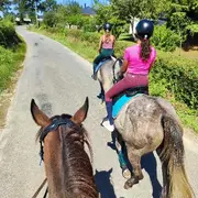 Animations du club équestre Diplodocus
