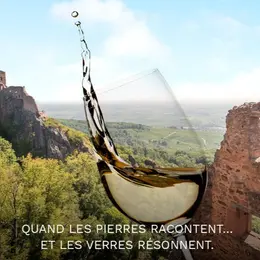 Animations médiévales autour du vin et de la bière dans les châteaux du Rhin Supérieur