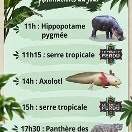Animations Vacances d'Automne