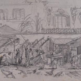 Animaux et culture
