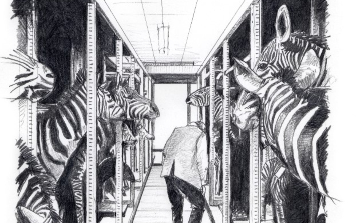 Animaux et culture
