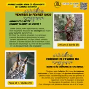 Animaux et plantes : comment passent-ils l'hiver ?