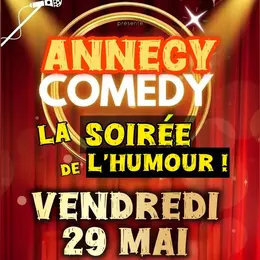 Annecy Comedy : la soirée de l'humour