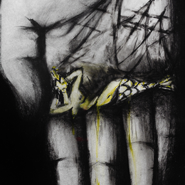 ANNETTE MESSAGER / Sirénocturne
