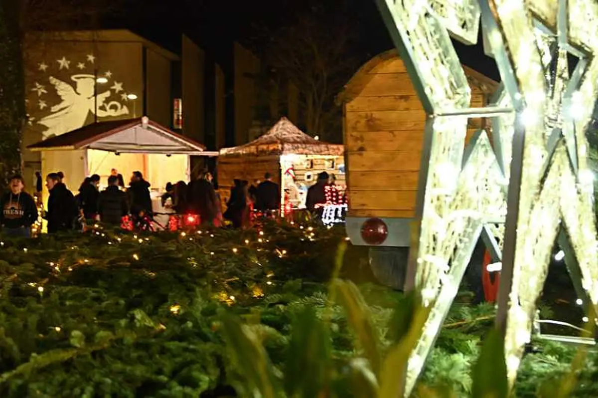 Annonce Noel Chaumont