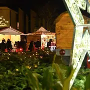 Annonce Noel Chaumont