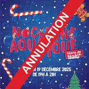 Annulation : Nocturne aquatique Féérie de Noël