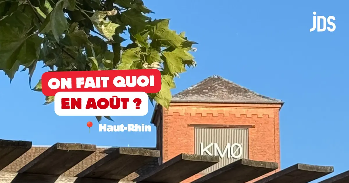 Ao&ucirc;t dans le Haut-Rhin : la Foire aux Vins de Colmar, un labyrinthe de ma&iuml;s hant&eacute;, une pool party et 13 autres sorties &agrave; ne pas manquer cet &eacute;t&eacute;