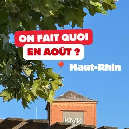 Août dans le Haut-Rhin : la Foire aux Vins de Colmar, un labyrinthe de maïs hanté, une pool party et 13 autres sorties à ne pas manquer cet été