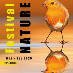 Apéritif Scientifique : Les Syrphes, Indicateurs De Biodiversité Et De Qualité Des Milieux