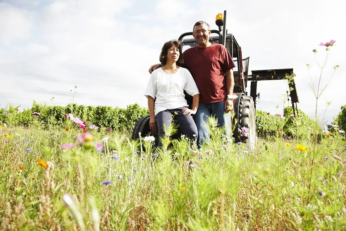 Apéritif vigneron au Château Haut-Claverie