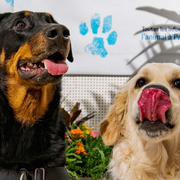 Apéro canin parisien à la Maison de l'animal