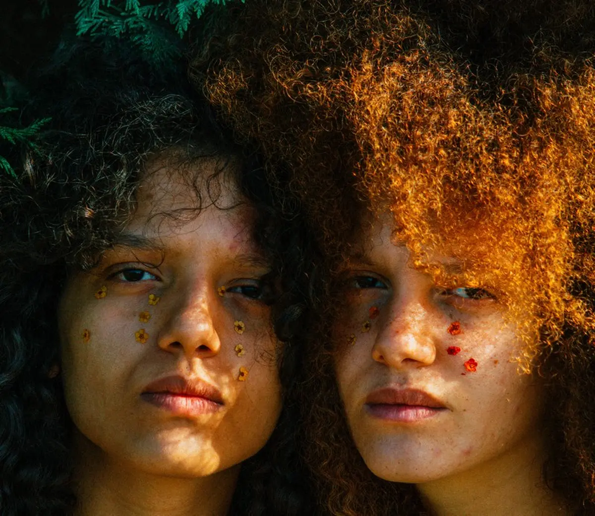 Apéro concert  MALAKA 