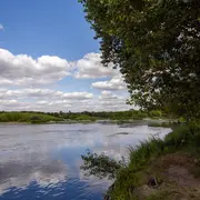 Apéro-conférence : Préserver la biodiversité en bord de Loire