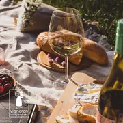 Apéro gourmand & pique-nique chez les vignerons : votre rendez-vous annuel dans le vignoble alsacien